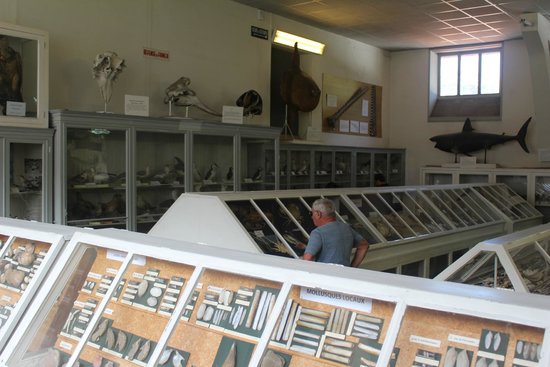 musee aquarium d arcachon