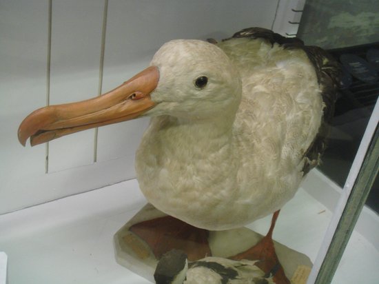 musee archeologique 1