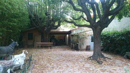 musee d histoire locale