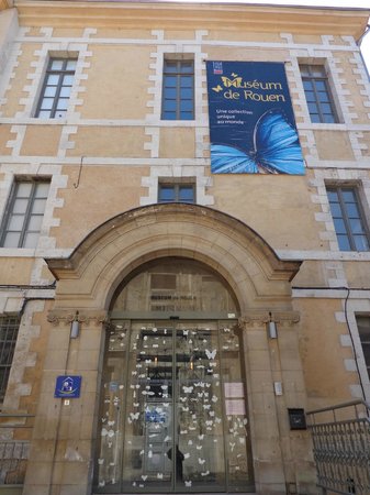 musee d histoire naturelle