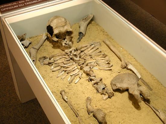 musee de la memoire des