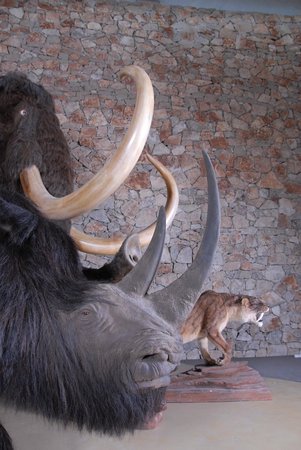 musee de la prehistoire 1