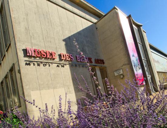 musee des beaux arts 4