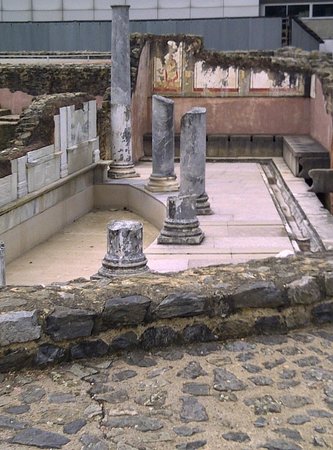 musee des beaux arts 8