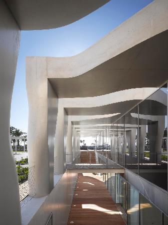 musee jean cocteau collection