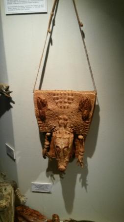 museum des sciences naturelles