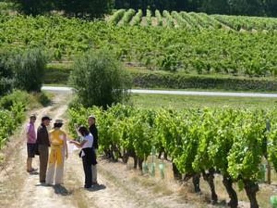 museum of the winegrowers