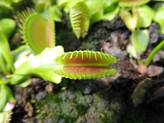 nature et paysages le