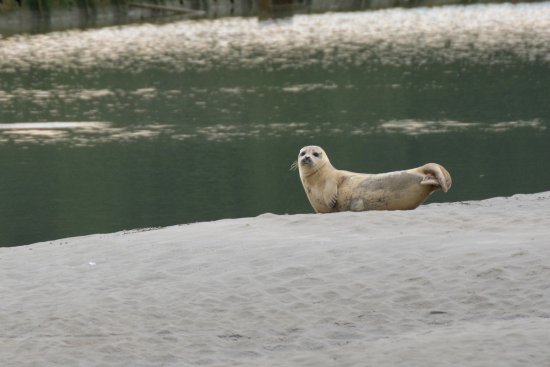 observation et decouverte