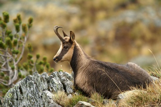 observatoire de la montagne