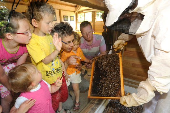 ouverture de la ruche