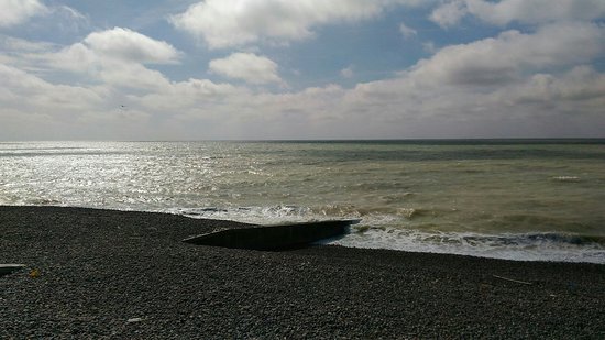 p 20160805 163926 largejpg