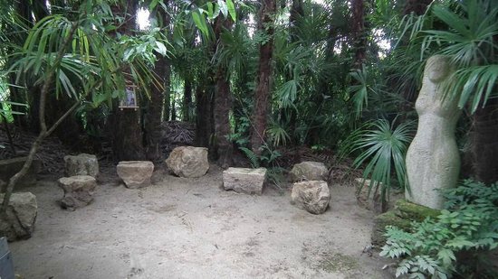 palmeraie du sarthou