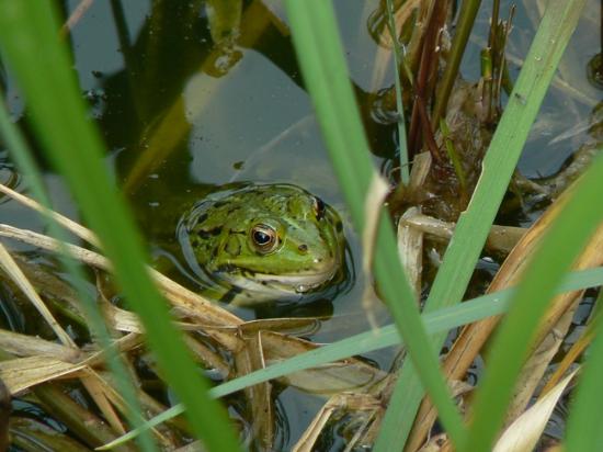 parc animalier de roumare