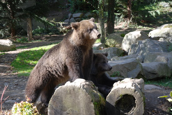 parc animalier des pyrenees