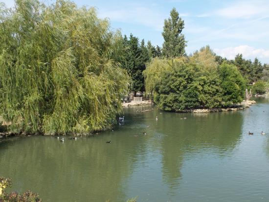 parc animalier l arc