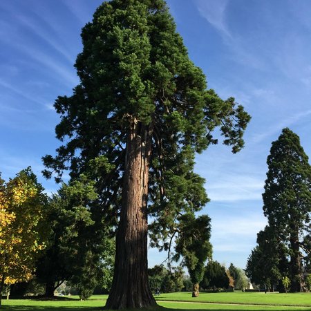 parc culturel de rentilly