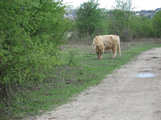 parc departemental de 1