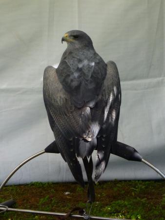 parc des bords de l eure