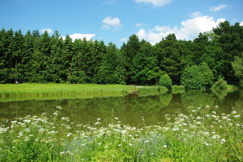 parc des gayeulles rennes