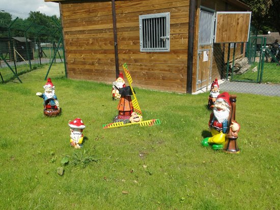 parc des grands felins