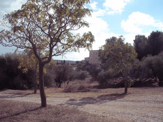 parc du chateau de montplaisir