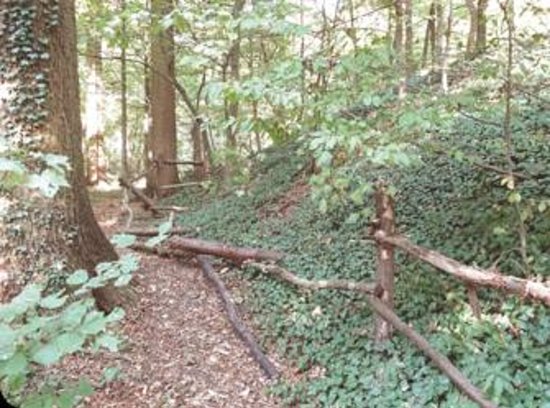 parc forestier de la