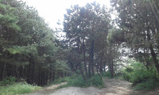 parc nature baie de canche