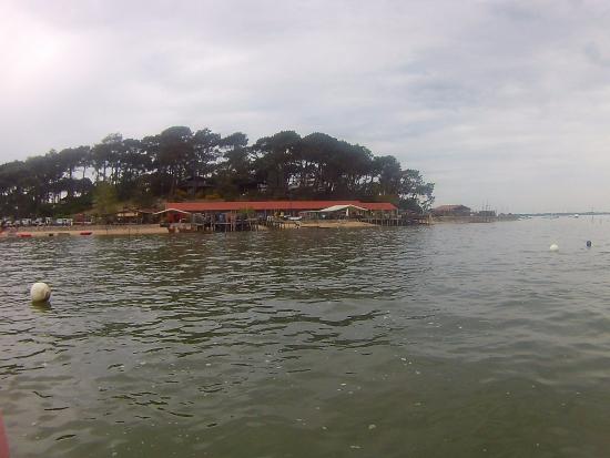 parc ostreicole a proximite