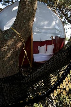 parcabout chien noir