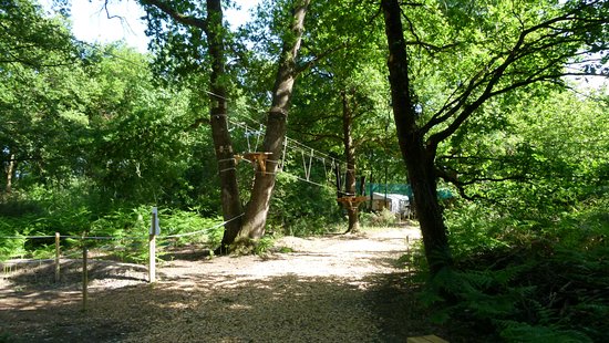 parcours dans les arbres