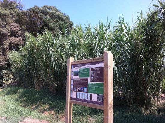 parcours decouverte les