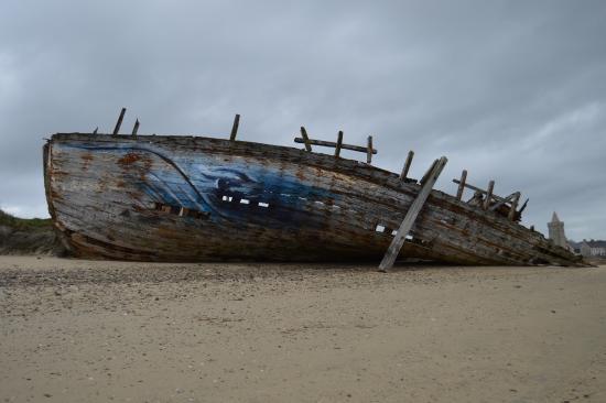 peinture de nautil aerosoleil