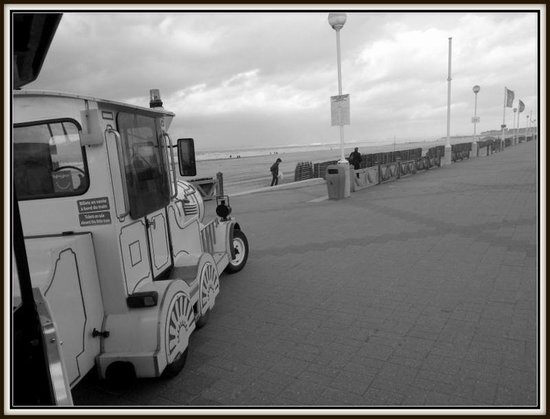 petit train de deauville