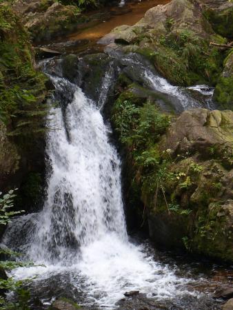 petite cascade de tendon