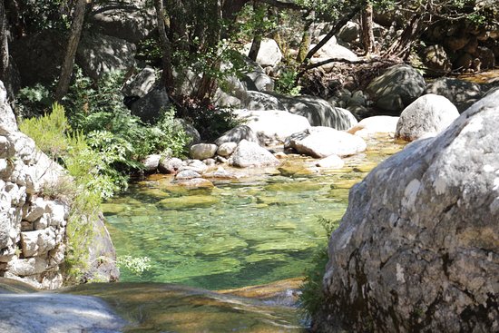 piscine naturelle polischellu