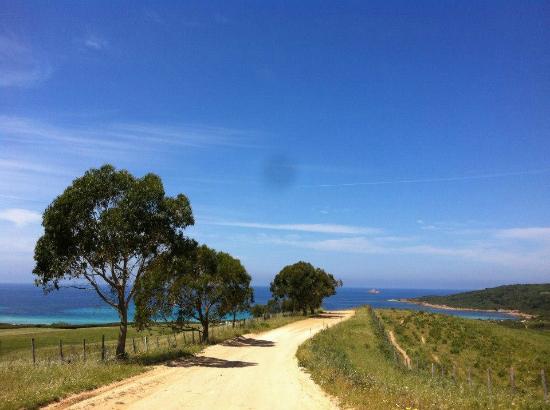 plage de capo di feno