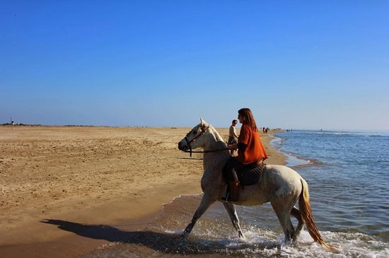 plage de l espiguette