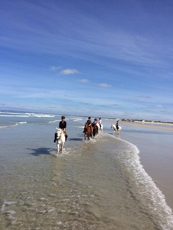 plage de treguennec baie