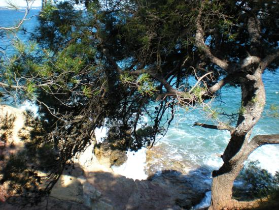 plage des oursinieres