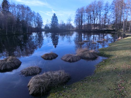 plateau des mille etangs