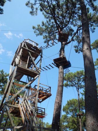 plateforme d ou on a