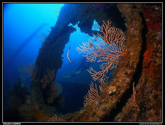 plongee passion carry