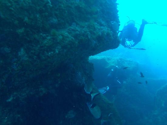 plonger sur le site la