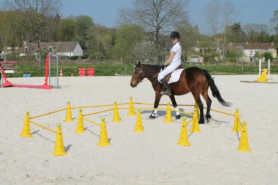 poney club centre equestre