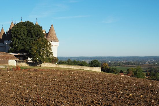 position dominante sur