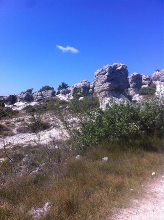 prachtige natuur zeker