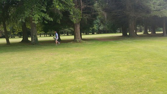 prachtige niet al te