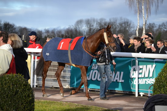 presentation des cracks