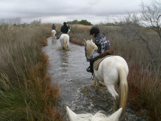 promenade a cheval chez
